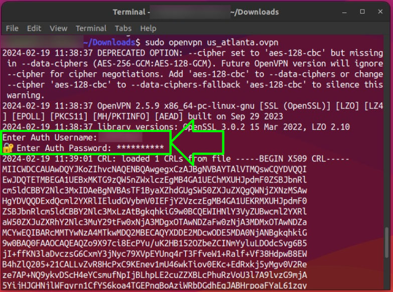 Screenshot showing how to connect to OpenVPN on Linux