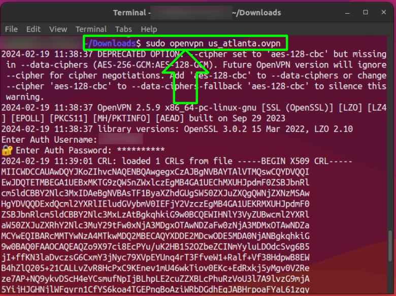 Screenshot showing how to connect to an OpenVPN server on Linux