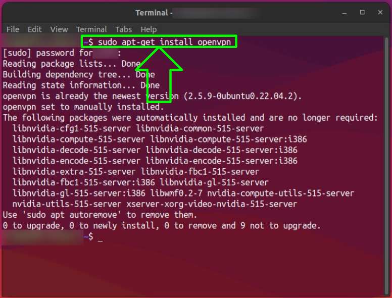 Screenshot showing how to install OpenVPN on Linux